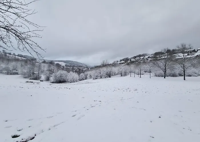 Semesterbostad Haus Am Winterberg